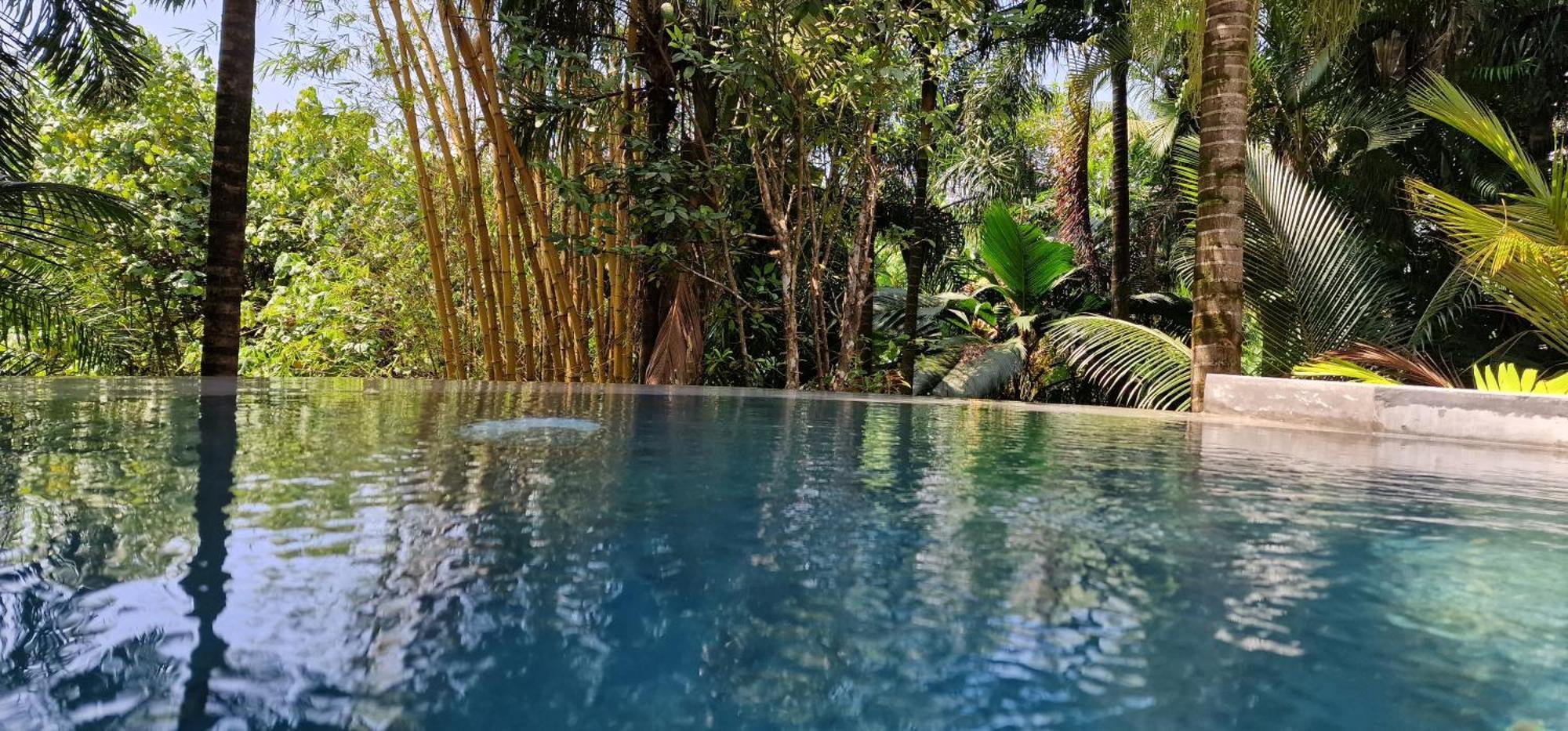 A Peace In Paradise Anse Royale Exterior photo